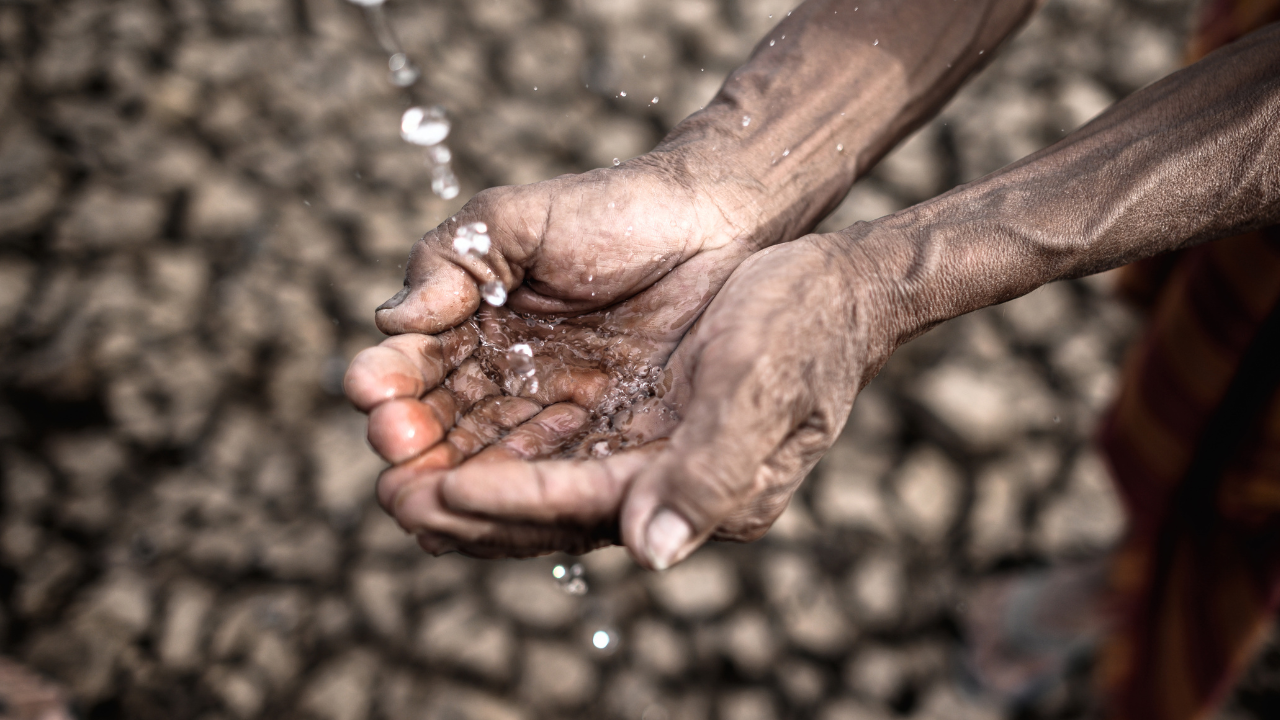 Escasez de agua: 5 acciones inmediatas para cuidarla desde casa