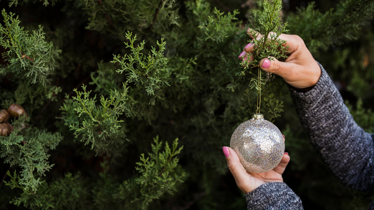 ¿El árbol de Navidad natural necesita agua? 5 consejos para mantenerlo fresco por más tiempo