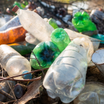 basura en la calles de México