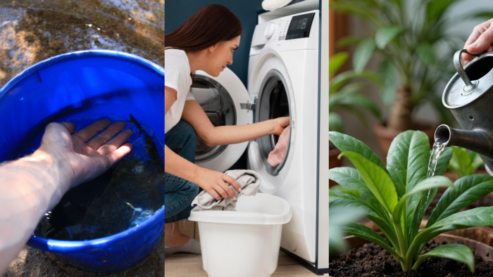 reutiliza agua en casa