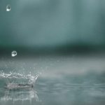 cosecha del agua