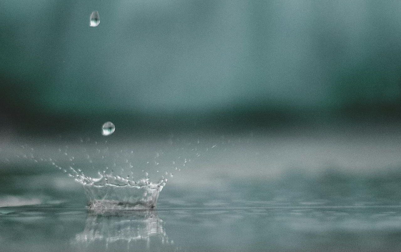 Cosecha del agua: Cómo funciona esta técnica y qué beneficios tiene aplicarla en casa