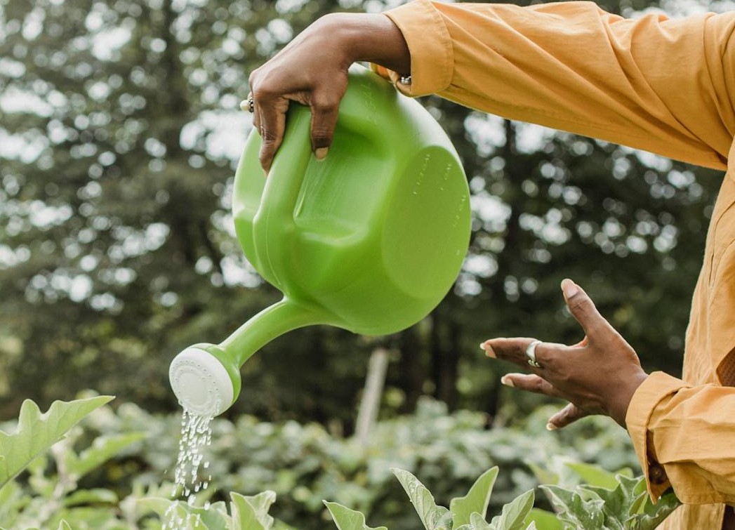 Guía práctica: cómo hacer de tu hogar un espacio hídrico responsable en Cancún