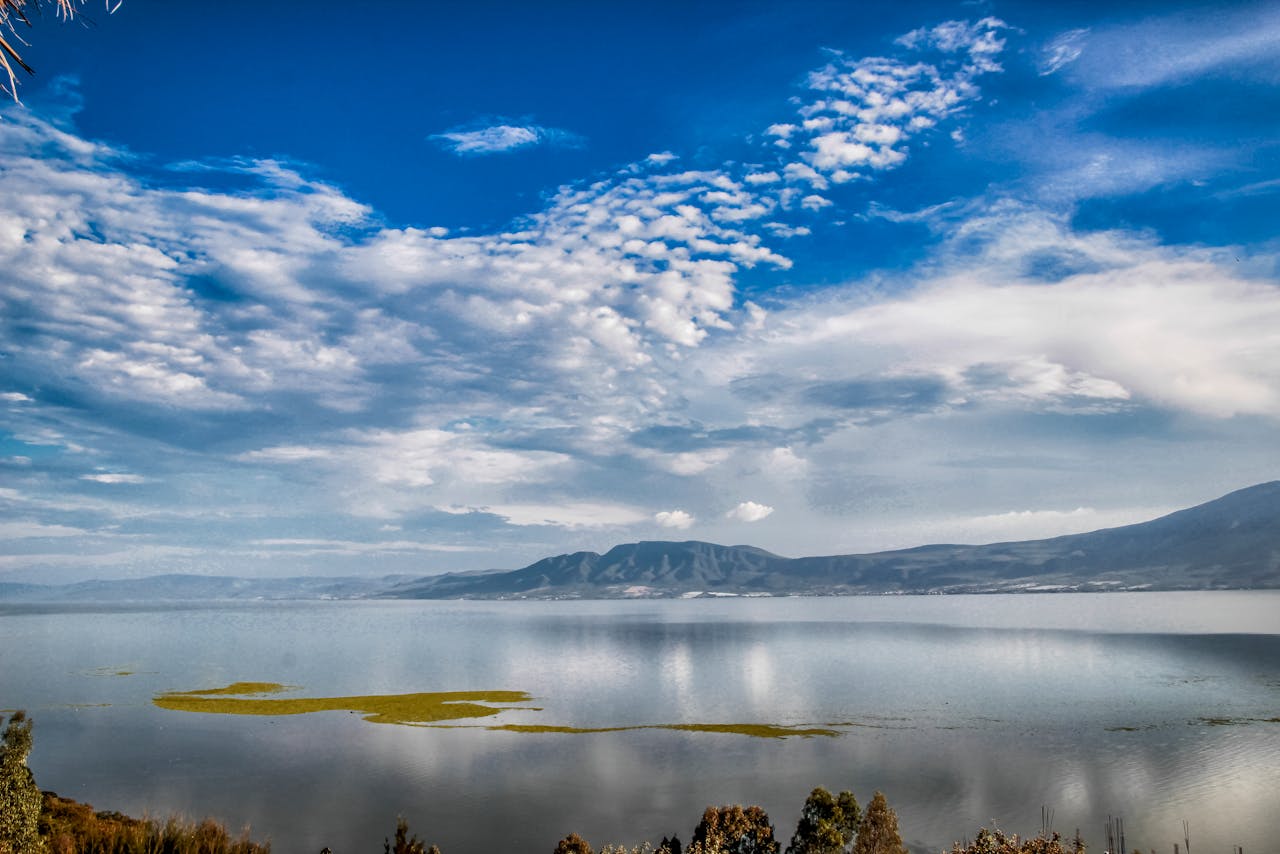 El Lago de Chapala, el más grande de México, está en riesgo: qué está pasando