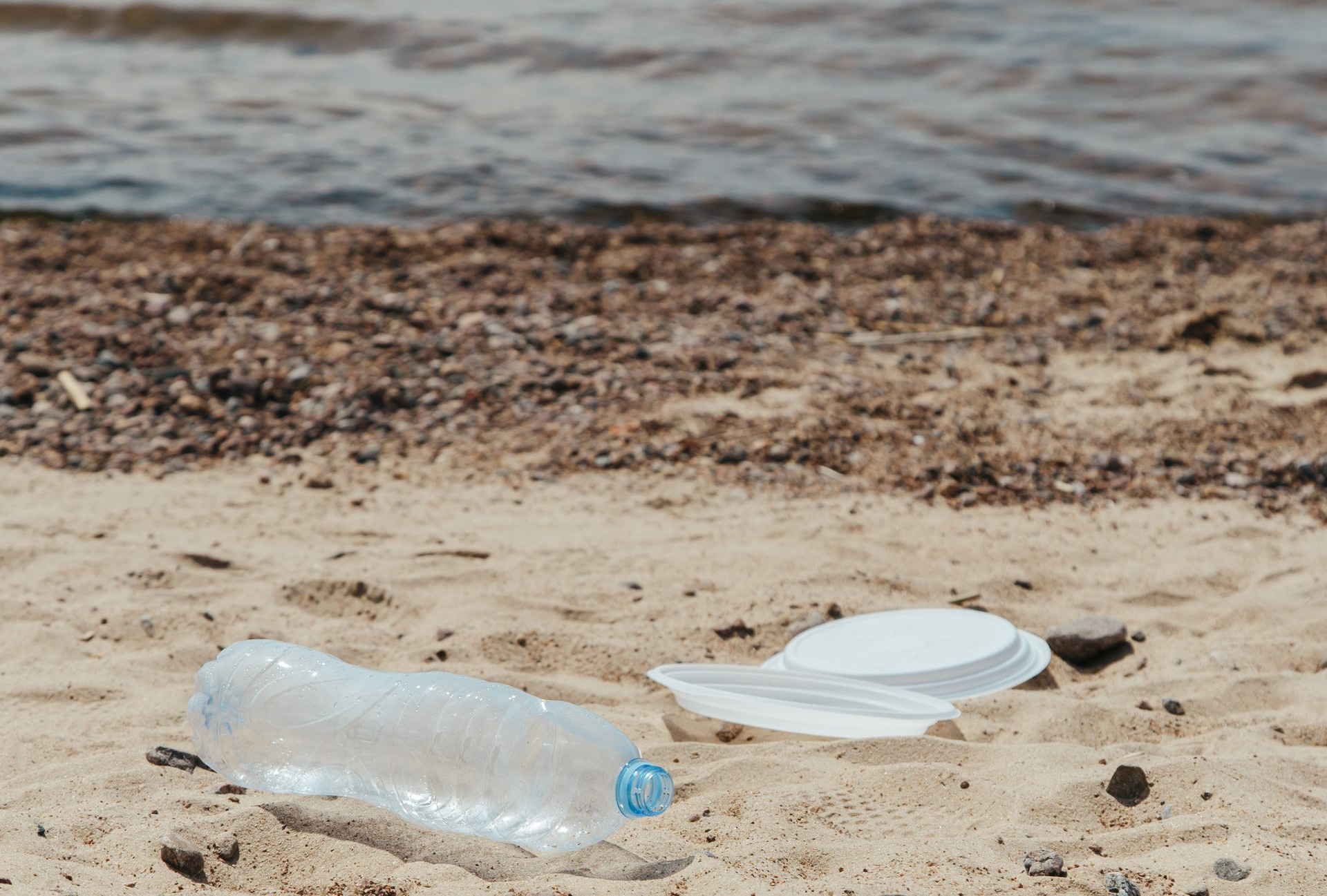 ¿Tirar basura en la calle es delito en Quintana Roo? Así podrían sancionarte si lo haces