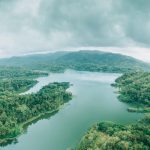 día mundial del medio ambiente