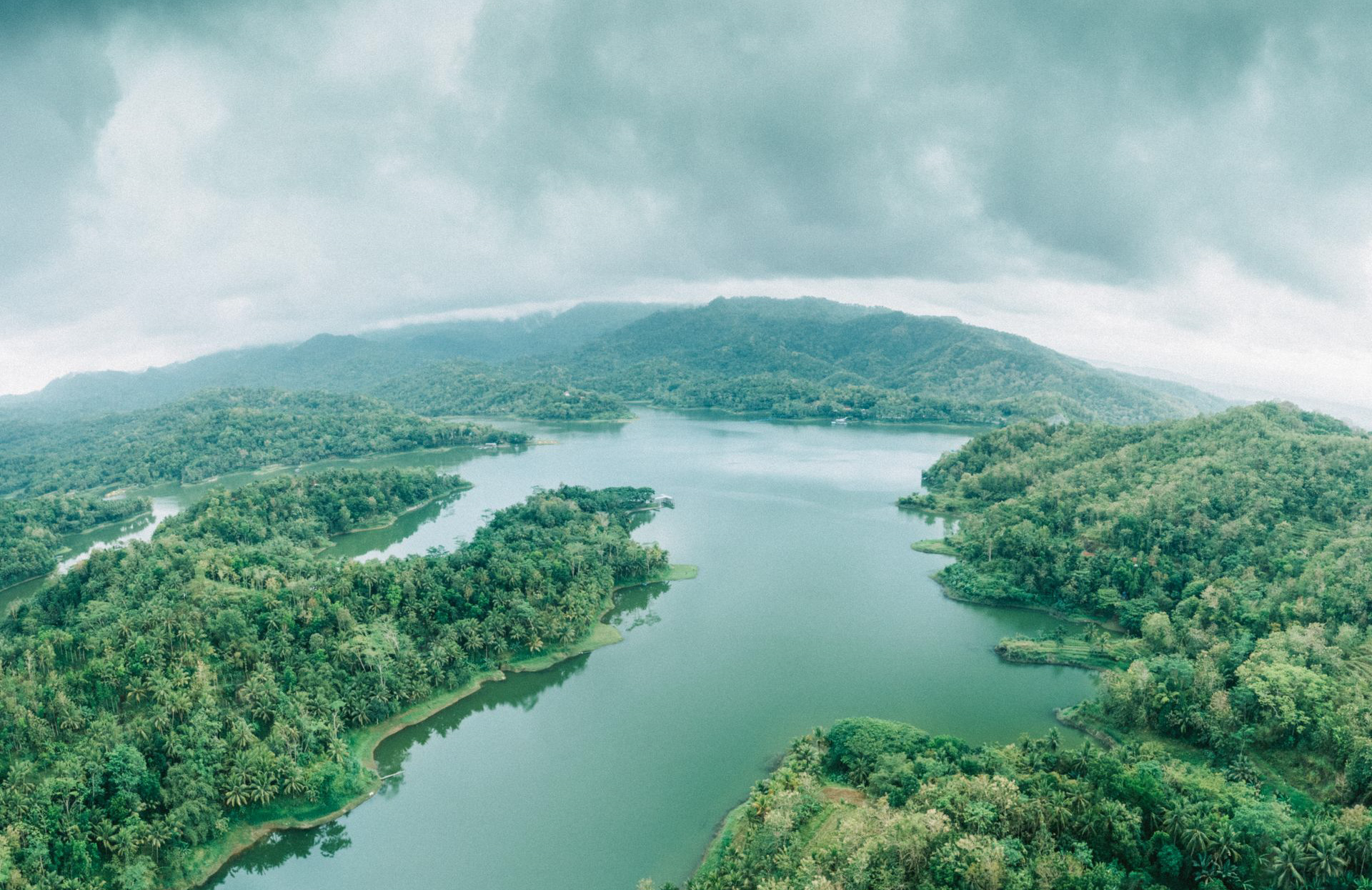 Día Mundial del Medio Ambiente: acciones para cuidar el agua y reducir el impacto ambiental