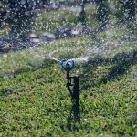 riego verano ahorro de agua