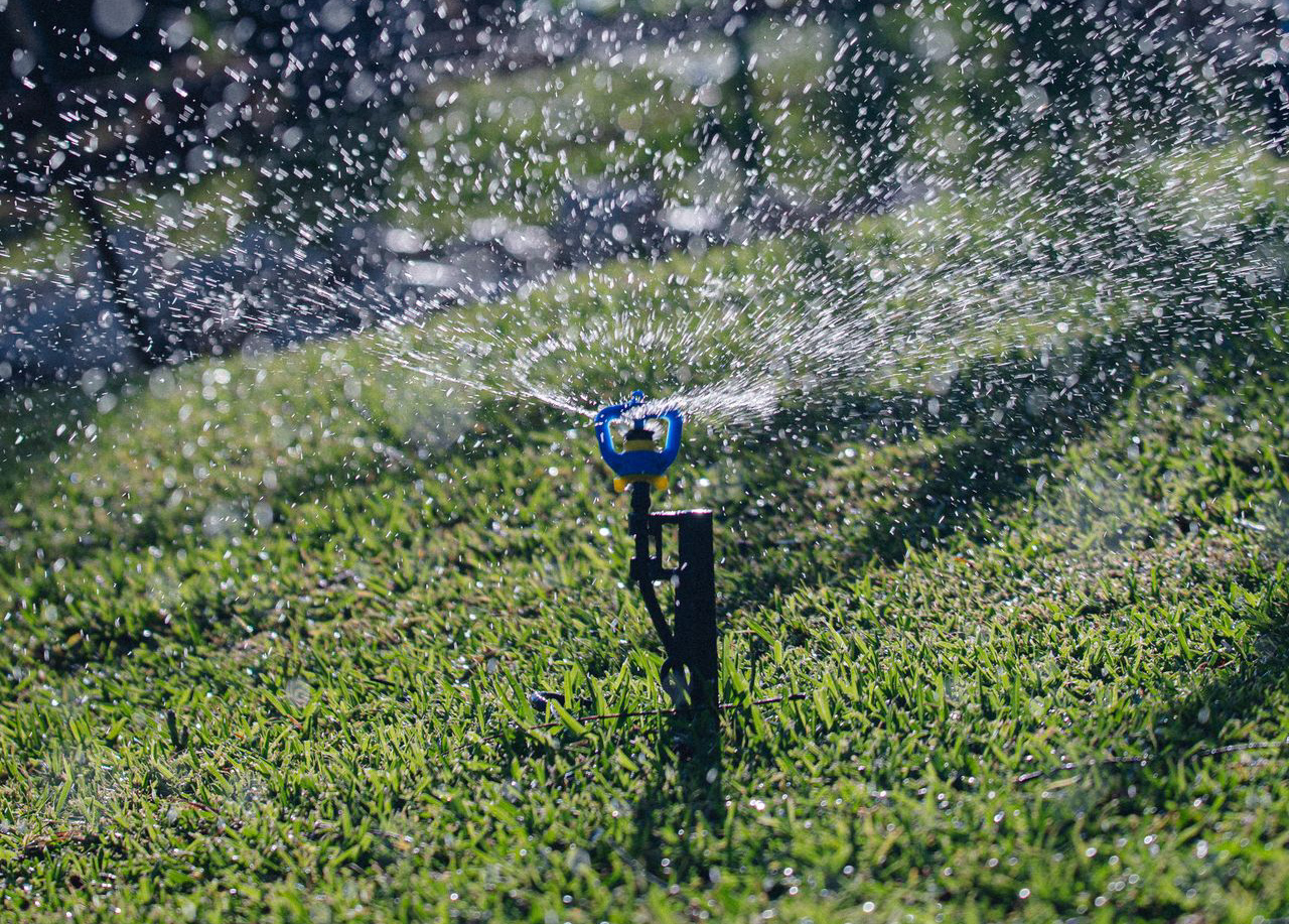 ¡Llegó el verano! Así puedes preparar tu hogar para ahorrar agua y evitar un consumo excesivo