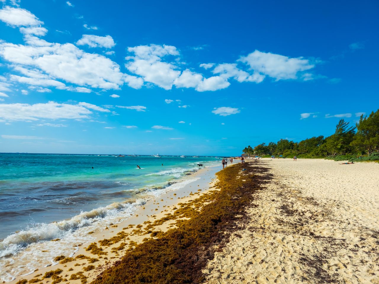 ¿Cómo afecta el sargazo a la calidad del agua y los ecosistemas en Quintana Roo?