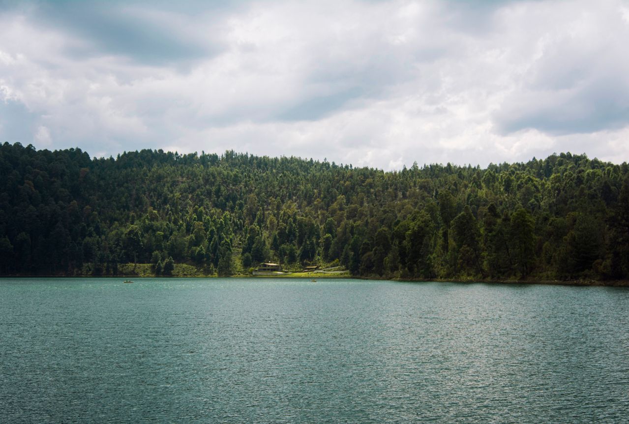 Día Mundial de los Lagos: ¿México tiene pocos lagos y qué implica para el agua?