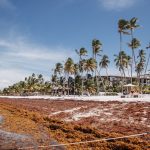 problemas ambientales en Quintana Roo