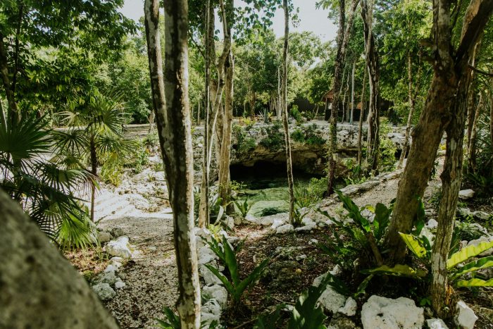 Cenotes como manifestación del sistema subterráneo de Quintana Roo